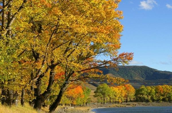 从上海向甘孜，“此生必驾318”文旅推介会登陆黄浦江畔