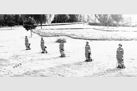 快看！咱山西消防参赛犬的“高光瞬间”图片