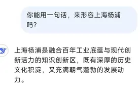 让DeepSeek为杨浦作诗……太会了！图片