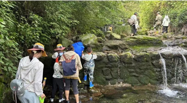 8岁自闭症男童走失遇难背后