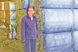 赵治海：推动全谷物与粮饲两用谷发展图片