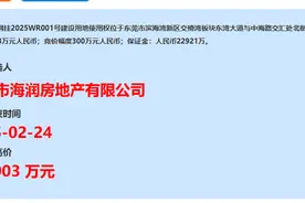 29轮、竞价12.3亿元！东莞今年首宗宅地竞拍滨海湾受热捧图片