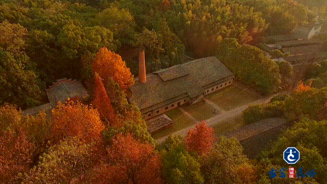 景德镇古窑枫叶 晕染千年瓷都的浪漫诗笺