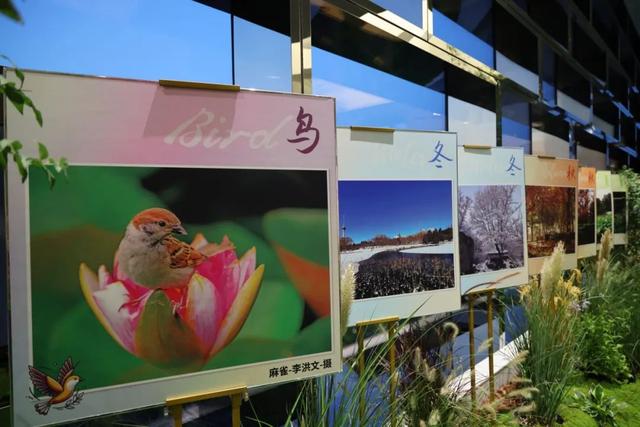 “玉渊花园”主题文化周亮相路县故城遗址公园