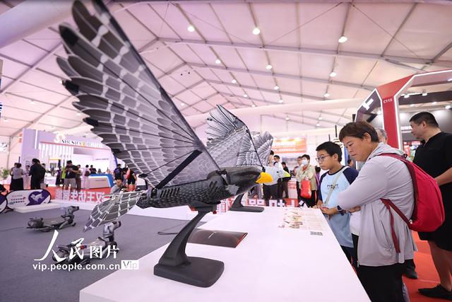 北京：世界机器人大会人气旺
