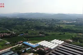 师兄弟三人创业“种蘑菇”，来听听他们“三生万物”的计划图片