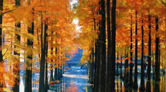 秋日特调！南京“西红柿炒蛋”皮肤已限时上线！