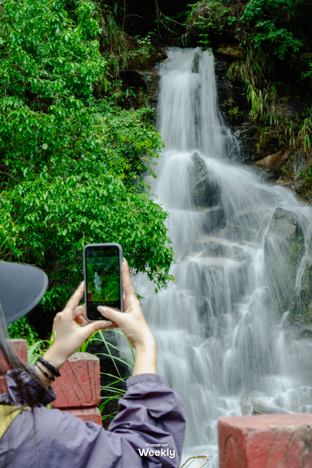 没人觉得龙岗的能量场很高吗？