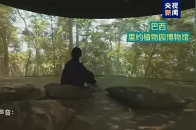 国际茶日丨记者观“茶”Vlog：被巴西小朋友喝茶的表情萌到了图片