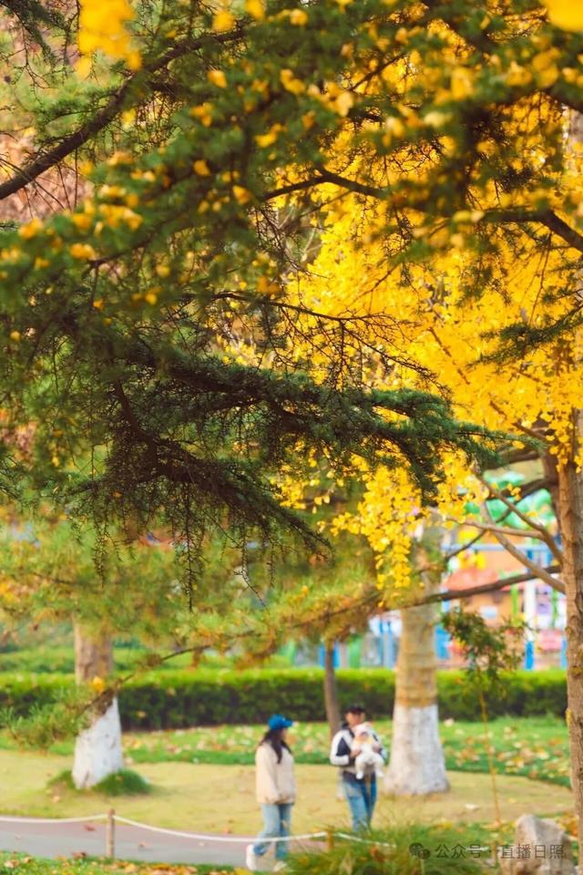 一分钟！我要知道日照这里的所有信息→