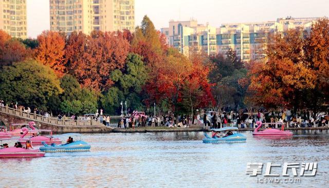 烈士公园“人从众”，29日入园游客超10万人次丨组图