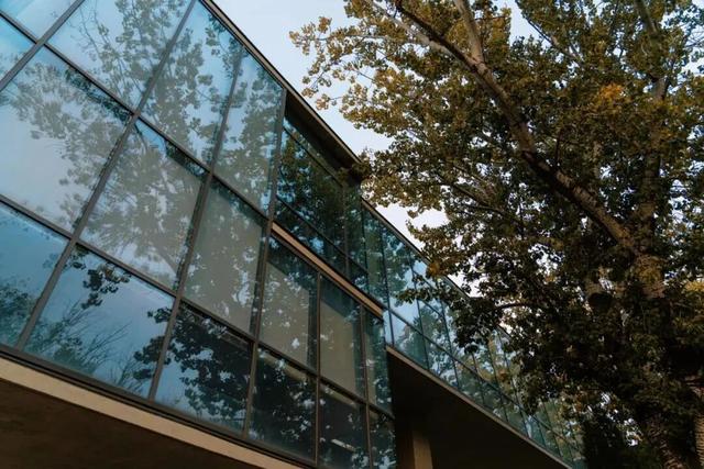 推开南开的窗，你会看到——