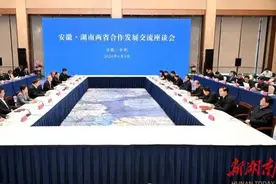 长三角来客｜老牌中部强省的紧迫感：湖南向新秀安徽学什么图片