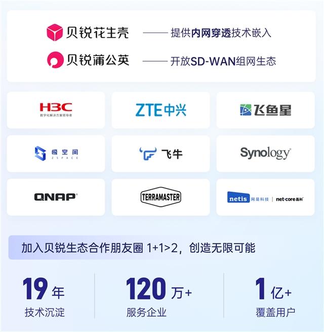 贝锐花生壳内网穿透/DDNS赋能飞鱼星，无需公网IP也能远程访问