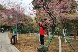 春节假期，桂林各公园耍法蛮多图片