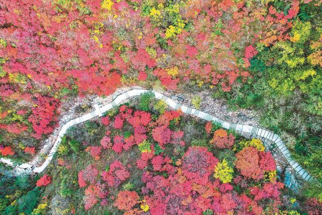 初冬美景入画来