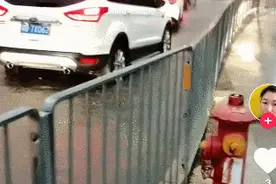 “疯狂倒水”！宝安防御局地特大暴雨，本周末仍有暴雨风险图片