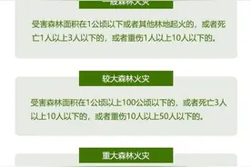 森林火灾怎么防，遇到如何避险？一文了解图片