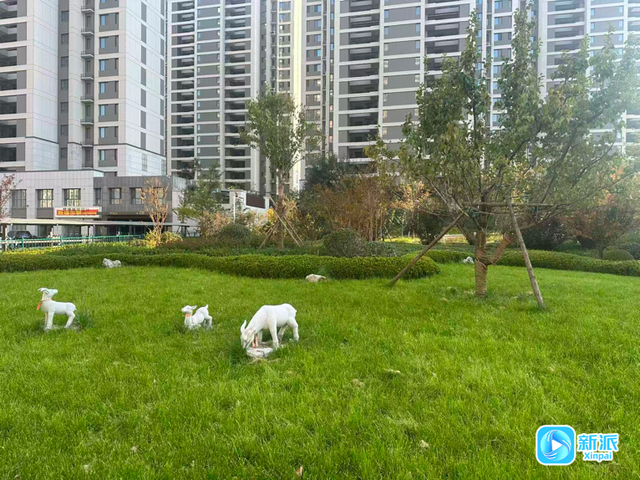 行走临朐，城在绿中、人在景中……   一座小城的“公园幸福学”