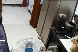 冰箱突然自己“炸了”，这一幕吓傻网友！重要提醒图片