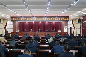 平舆东皇：产业赋能 乡村振兴图片