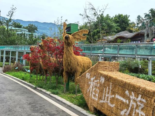 雅安首届巨型稻草人艺术节游玩攻略，打卡不迷路！