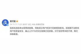 支付宝回应“崩了”：故障已修复，不影响用户资金安全图片