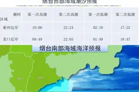 早安 烟台|烟台各地大集时间表合集来啦！图片