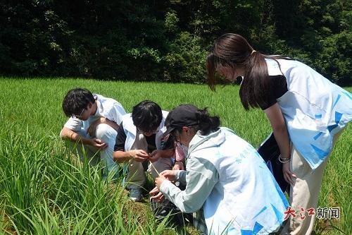 江西农业大学师生深入万年县探寻稻作文化之源