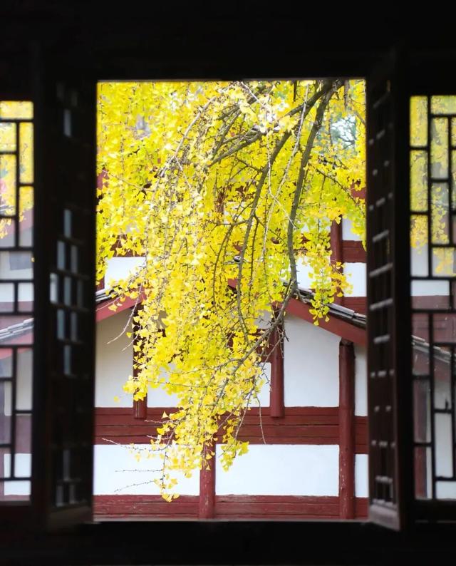 来江西书院赏秋，聆听穿越千年的风雅颂！