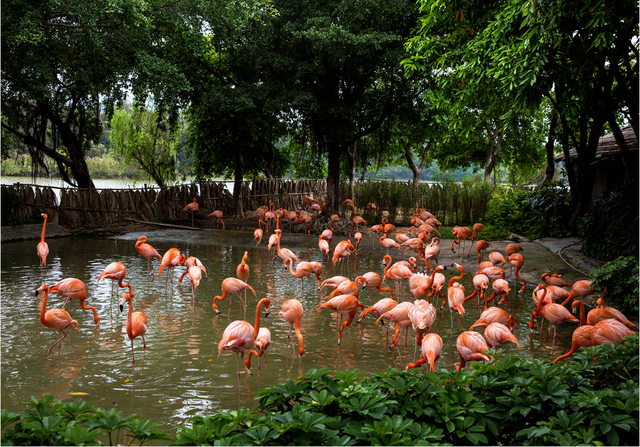 最近，星湖美景亮相广州！你发现了吗？