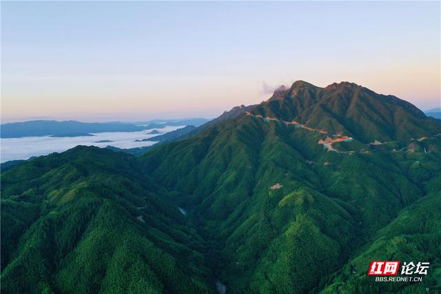 【每日一图@湖南】青娥山晨雾漫卷，定格天地间水墨丹青