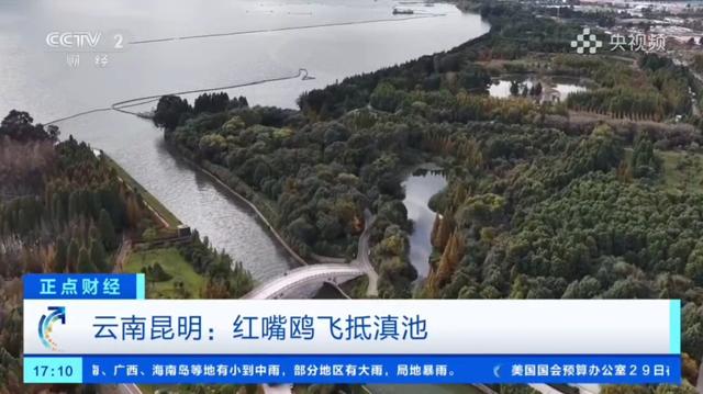 跟着央视三大频道一起赏昆明“限定款”秋色