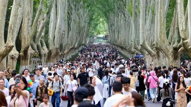 不是一亿人，是两亿人！南京文旅拿下两项全省第一