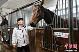 香港练马师姚本辉：人生如赛马 要不断精益求精图片