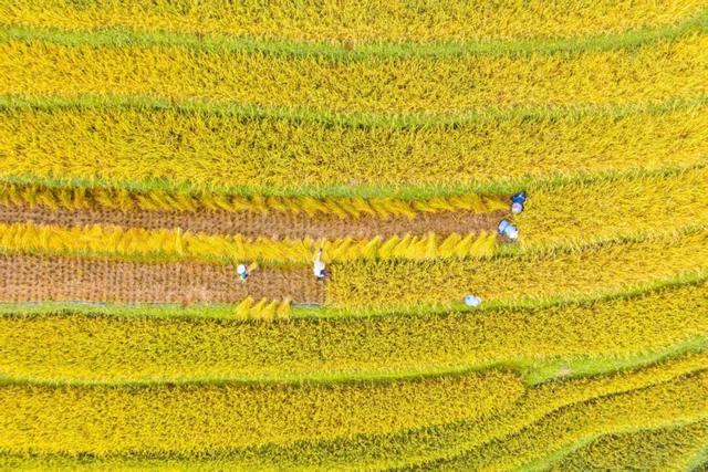 云南旅游，“心”发现！