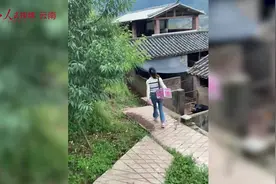 学当兽医后 这位“00后”姑娘高兴坏了图片