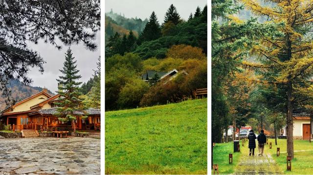 青睐绵阳 ‖ 红透了!周末去平武,沿着“百里彩林走廊”看一场雪山彩林“大片”~