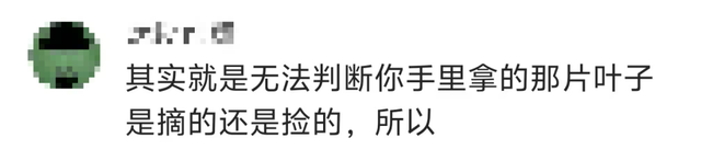 别让“出片”成为借口！两大景区的惨状警示：我们是不是在透支旅行的意义？