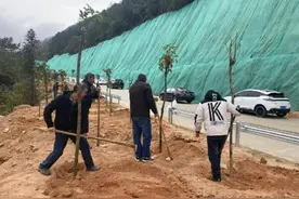 全民参与！信宜：厚植生态绿底色，绘就绿美新画卷图片