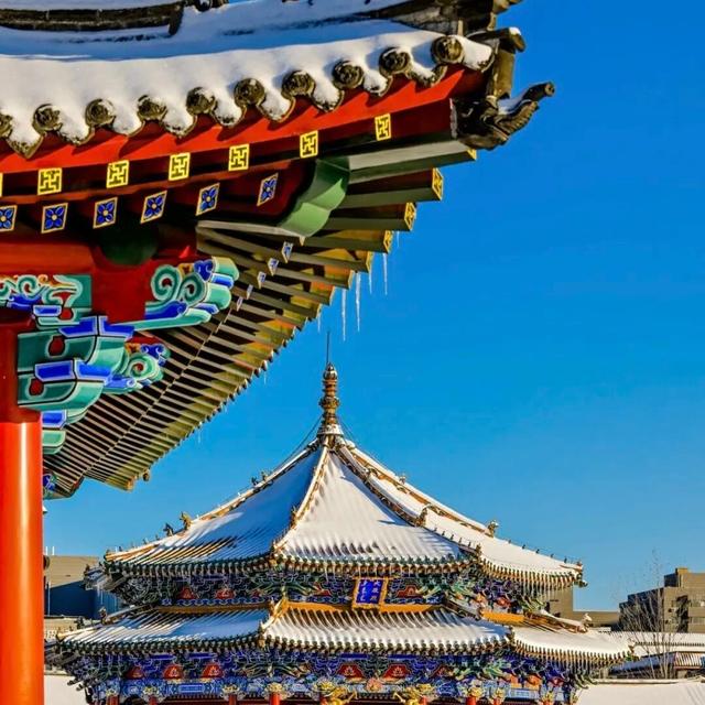 元旦，辽宁这些场馆陪你过个文化年！