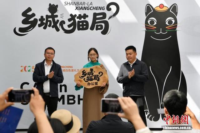四川乡城“猫局”上岗：千年敬猫文化借“萌力”出圈
