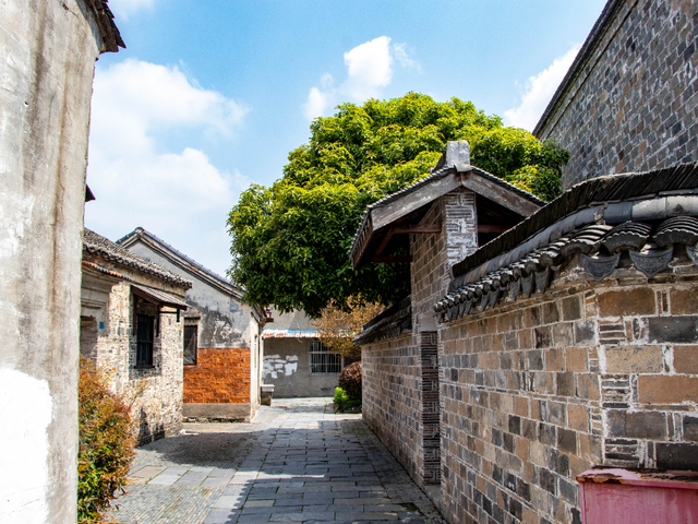 免费、半价、优惠！南京这些景区官宣！