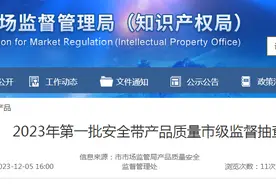 【济南】2023年第一批安全带产品质量市级监督抽查结果图片