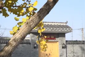 讲好乡村故事 扮靓百姓生活 泰州市刁铺街道万庄社区“精致高新”工程全面竣工图片