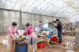 南方号·梅州矩阵：书写高质量发展的“春天答卷”图片