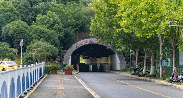 高铁到站、步行入园，红山动物园传来新消息！