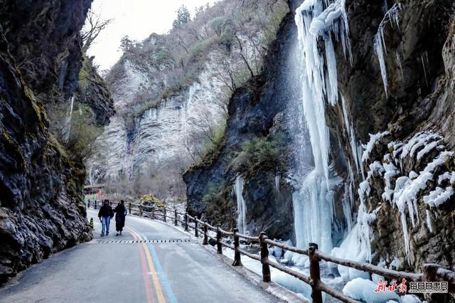 雪岭雾凇映冰帘 宕昌官鹅沟赏冰雪正当时