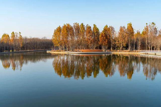 今年，朝阳有“加长版”秋日心动