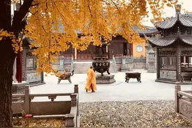 考古青浦，聊聊那些“龙”的传说～图片